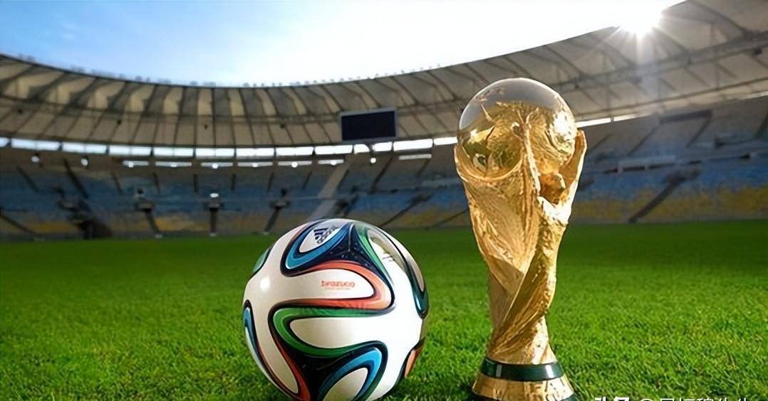 公告为准 公告为准