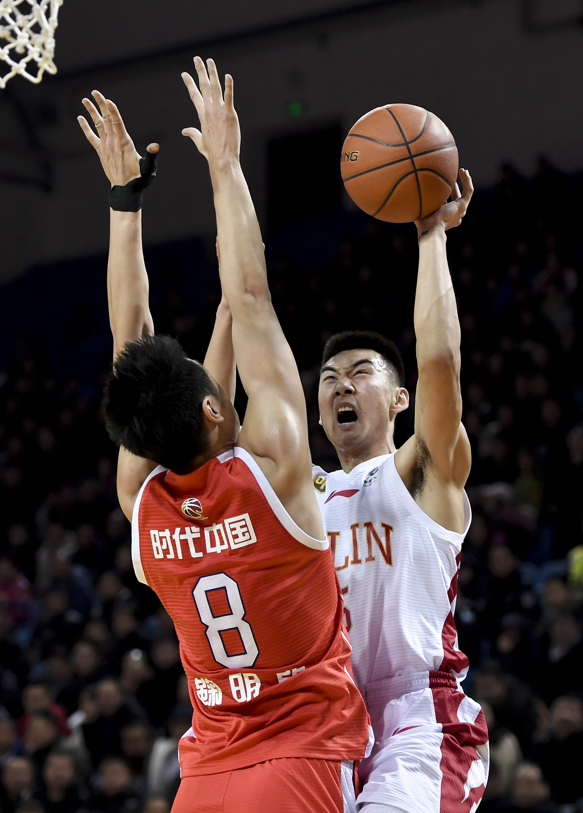 输不追单 输不追单